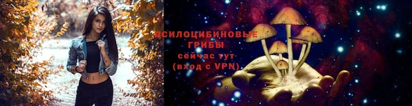 молекула духа Балабаново