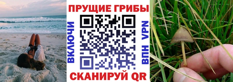 Псилоцибиновые грибы MAGIC MUSHROOMS где купить наркотик Белово