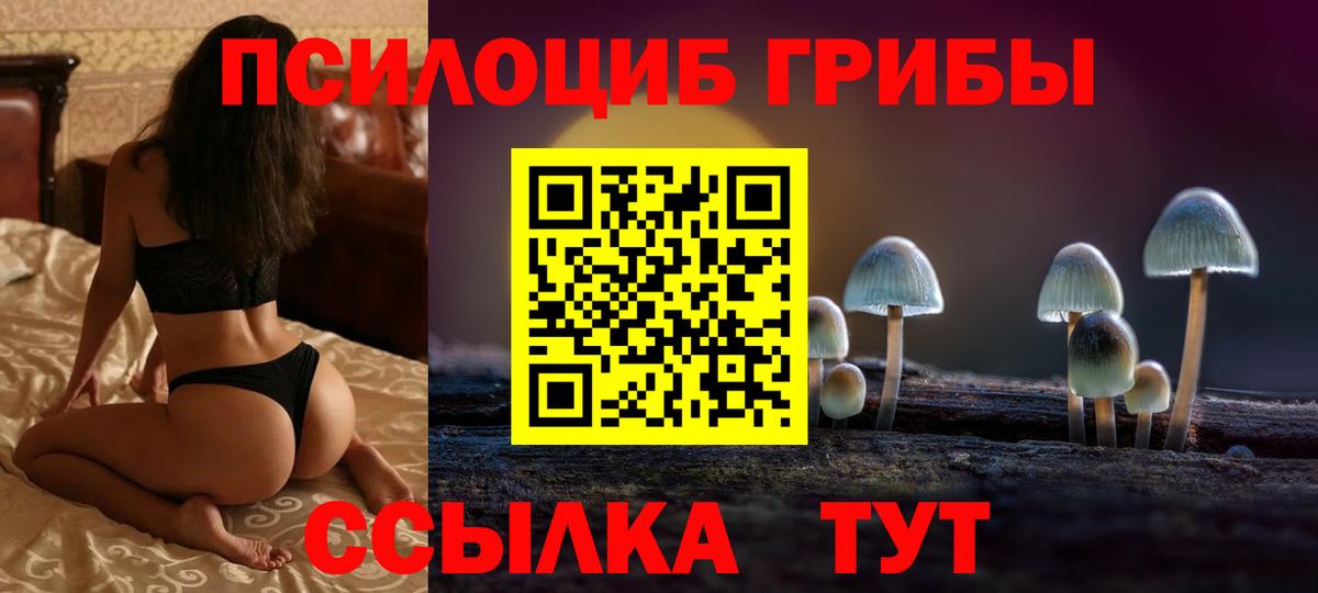 Белово  Псилоцибиновые грибы прущие грибы  Вход с VPN 
