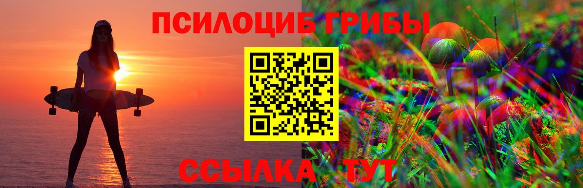 Псилоцибиновые грибы MAGIC MUSHROOMS Белово